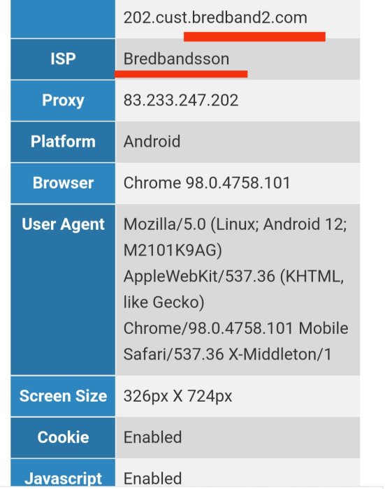 Skärmdump som visar webbläsarinformation inklusive ISP, IP-adress, plattform, webbläsare, användaragent, skärmstorlek och cookie-inställningar.