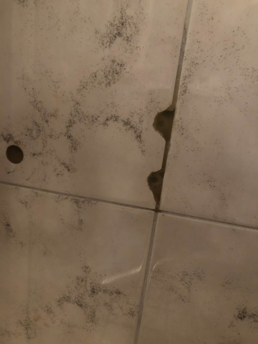 Kakel i dusch med hål lagade med silikon och synlig mögelbildning.