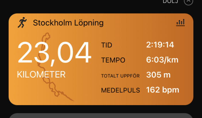 Appskärm som visar löpstatistik med 23,04 kilometer avklarade, tid 2:19:14, tempo 6:03/km, total stigning 305 m och medelpuls 162 bpm.
