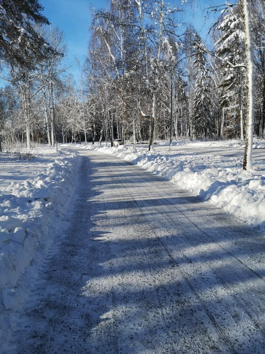 Vinterlandskap med snötäckta träd och en plogad väg som sträcker sig bortåt under en klarblå himmel.