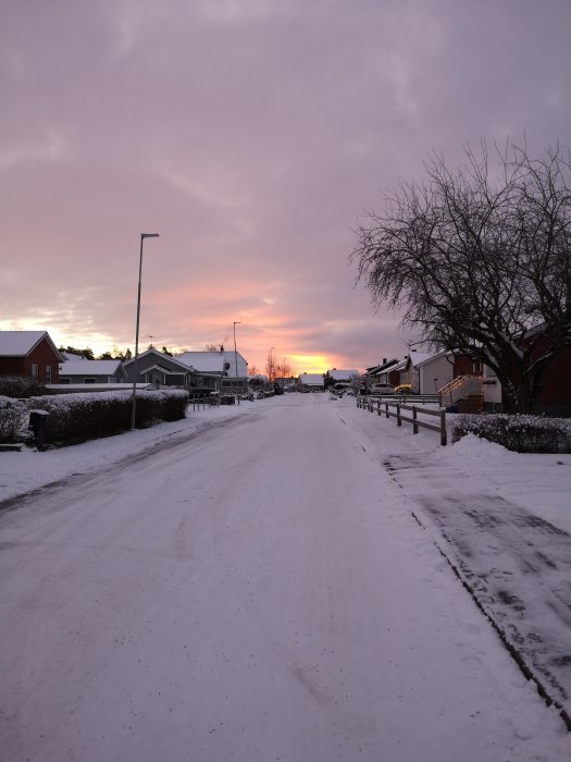 Snötäckt gata i bostadsområde vid solnedgång med rosa himmel.