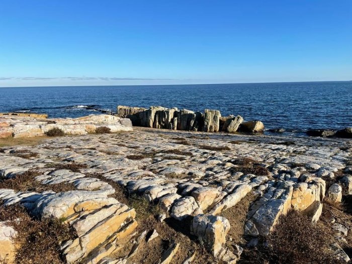 Klippig strand med platta stenar under en klarblå himmel vid havet.