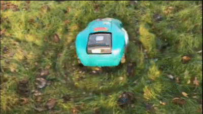 En robotgräsklippare snurrar på en gräsmatta, benämnd Indy, nära en laddstation.