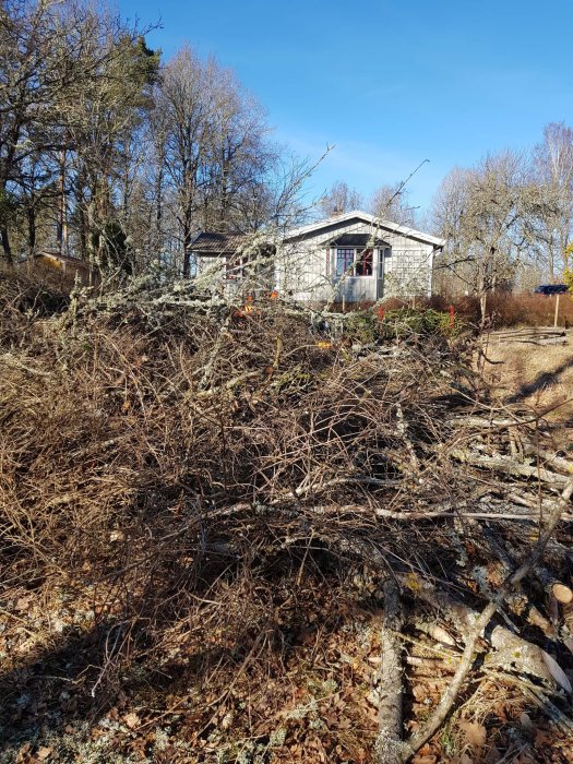 En röra av nerblåsta och fällda träd och grenar framför ett hus i soligt väder.