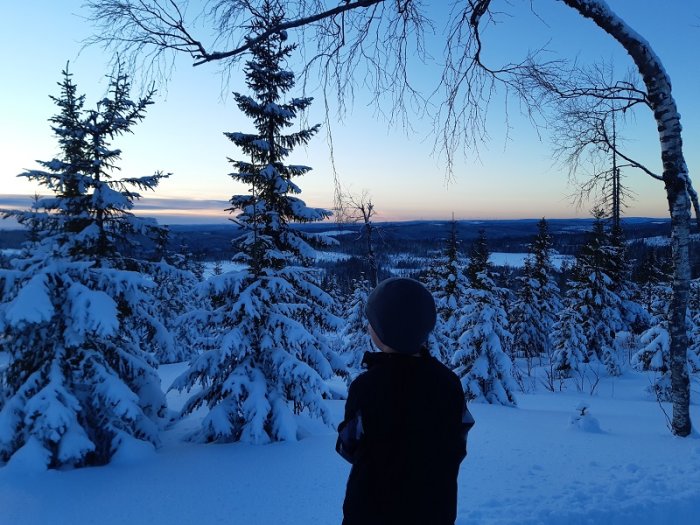 Barn betraktar en snötäckt skog och nedgående sol i Sverige.