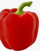 Röd bell pepper, även känt som paprika, lämplig för fyllning med ingredienser som nämnts i receptet.