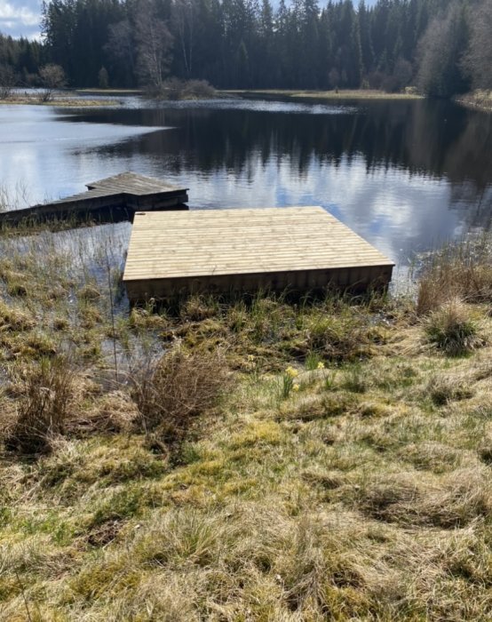 En stor damm med ett litet träbryggaintill, omgiven av skog och vildvuxet gräs i dagsljus.