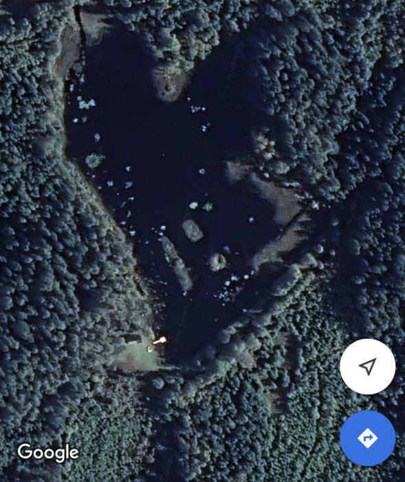 Satellitbild av en stor damm omgiven av skog, med synliga dybottnar och vegetation.