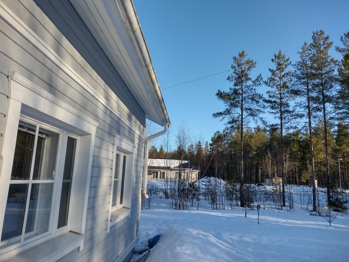 Antenn trådsträckt mellan hus och träd över snöig mark och tallskog i soligt väder.