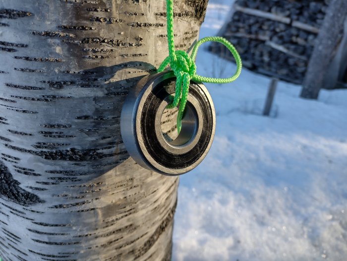 En antennupphängning med en ring och grönt rep bundet kring en björkstam, med snötäckt mark i bakgrunden.