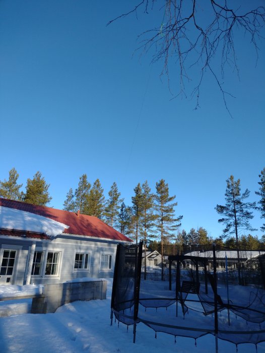 Antenn upphängd mellan ett träd och ett hus i snötäckt trädgård under klarblå himmel.