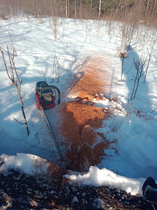 Motorsåg på marken bredvid en hög med sågspån på snötäckt mark i skogsmiljö.