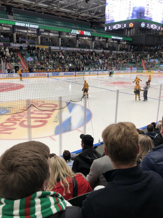 Publik som tittar på en hockeymatch från läktare, med spelare på isen i bakgrunden.