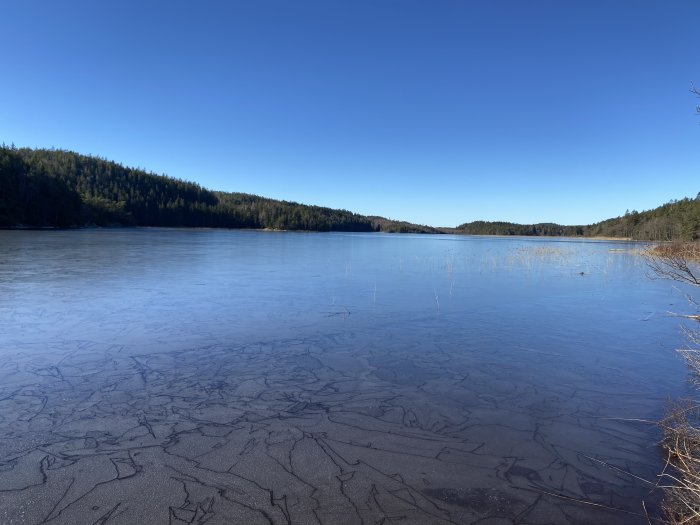 En frusen sjö omgiven av skog under blå himmel med ismönster nära kanten.