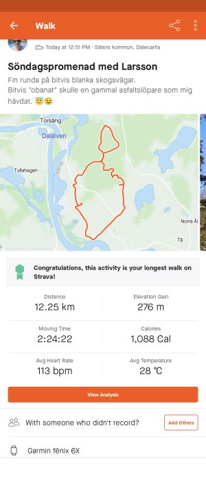 Skärmdump av en aktivitetsöversikt från Strava som visar en promenads rutt och statistik.