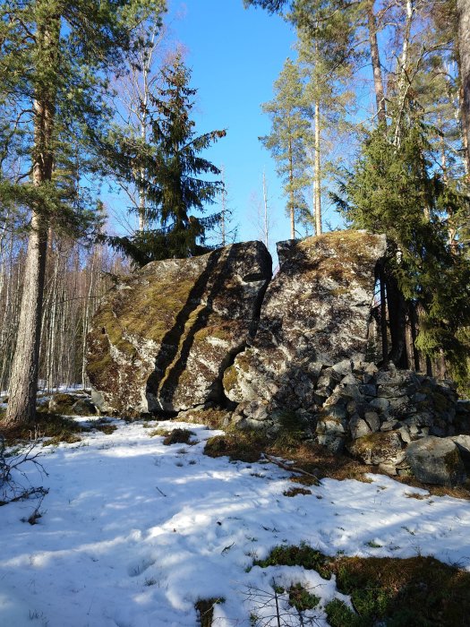 Stor sten och ruiner i skog med smältande snö under en klarblå himmel.