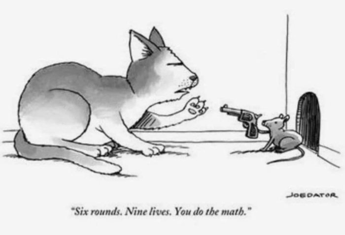 En teckning av en katt som ser mot en mus med en pistol och texten "Six rounds. Nine lives. You do the math".