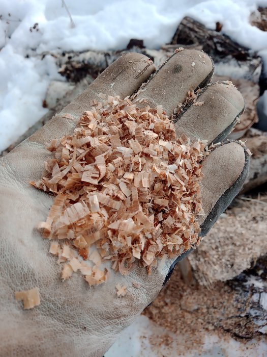 Hand i arbetsvante håller fina träspån mot en bakgrund av snö, vilket illustrerar effekten av en motorsåg.
