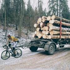 En person på en cykel drar en tung trailer fullastad med timmerstockar på en grusväg.