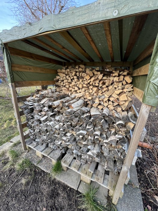 Stapel av björkved med svartmögel under presenningstak, mögelskadad ved synlig.