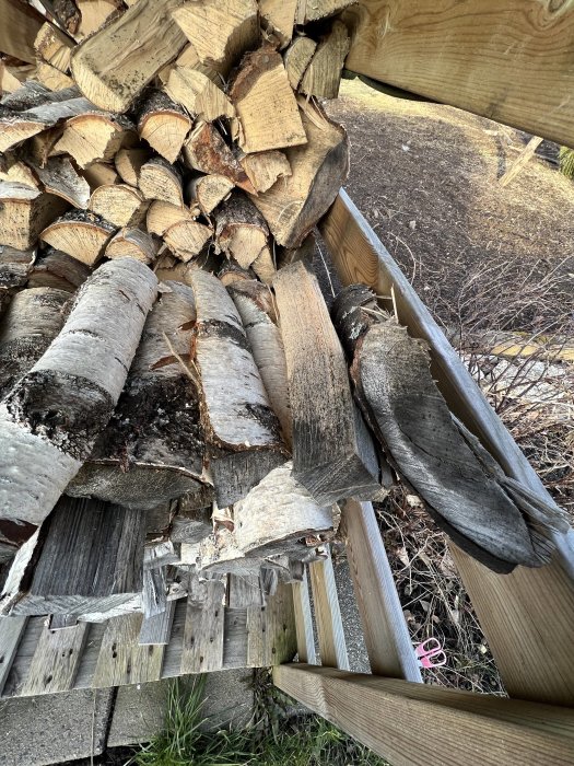 Stapel av björkved med synlig svartmögel i en vedförvaring.