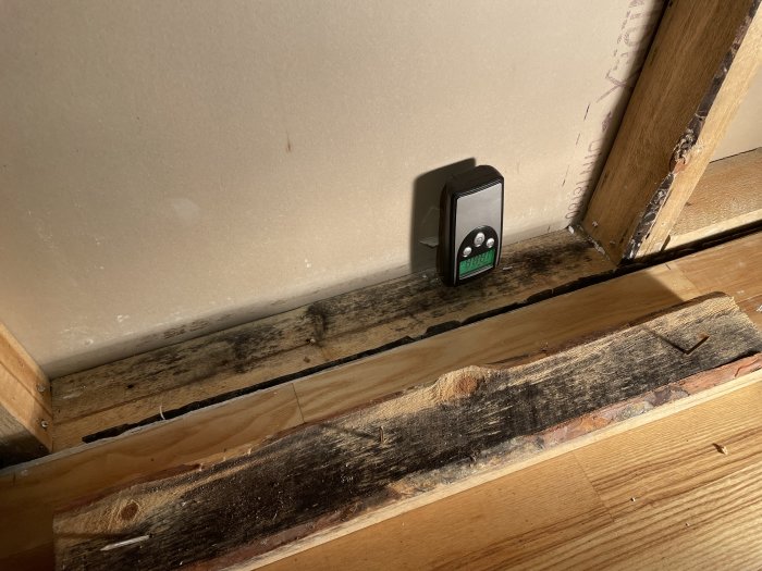 Svartmögel på träreglar vid en väggkonstruktion med fuktmätare.