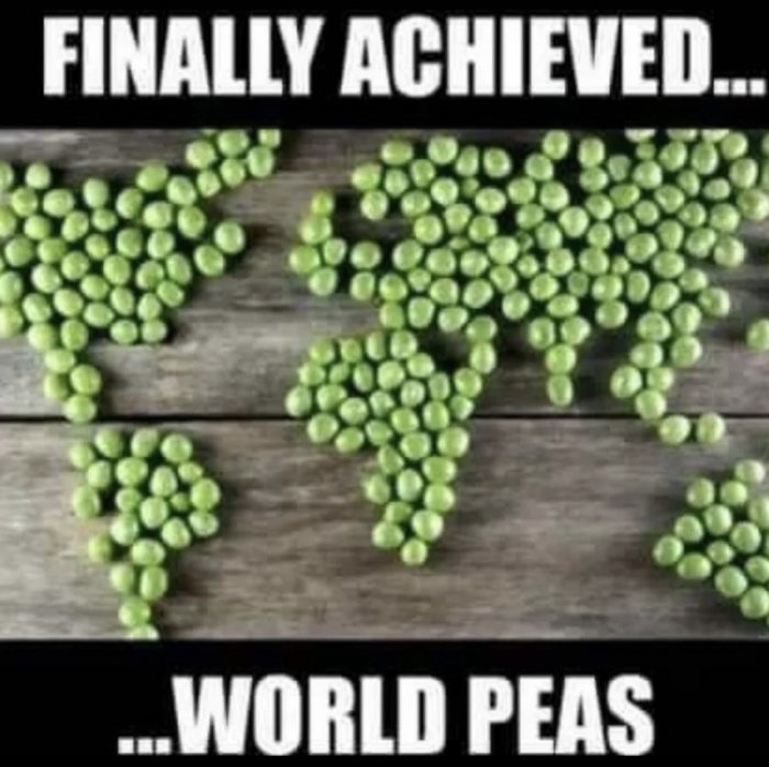 Världskarta skapad av gröna ärtor på träbakgrund med texten "Finally achieved... world peas".