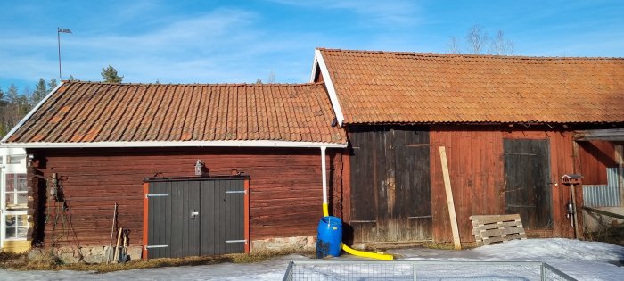 Två ihopsatta lador med faluröda träväggar och tegeltak under en klarblå himmel.