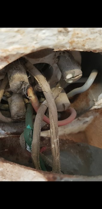 Trassliga elkablar och anslutningar syns inuti en öppen elinstallationsdosa, tydande på behov av reparation.