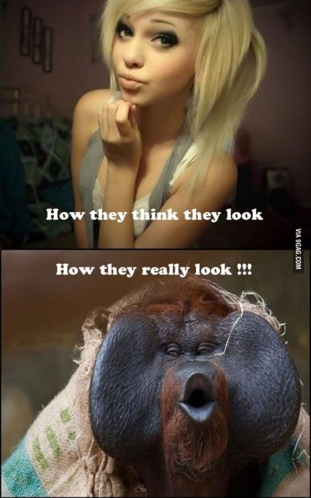 Meme med två bilder: en kvinna som poserar och en orangutang, med texten "hur de tror de ser ut" och "hur de faktiskt ser ut".