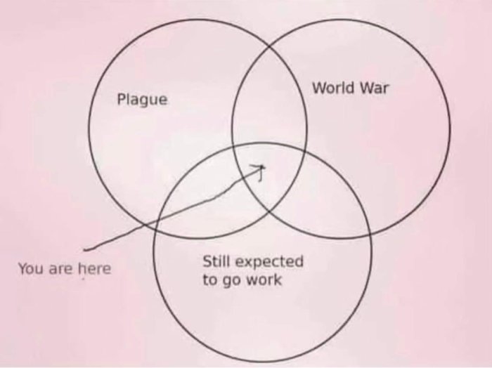 Venn-diagram med överlappande cirklar märkta "Plague", "World War", "Still expected to go work", och en pil till "You are here".