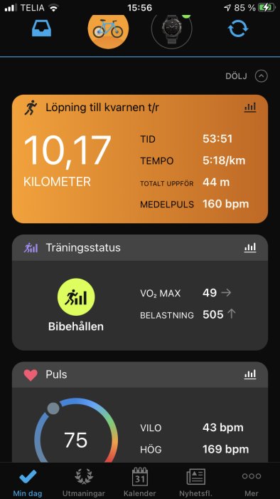 Skärmavbild av träningsapp visar löpstatistik med distans, tid, tempo och puls.