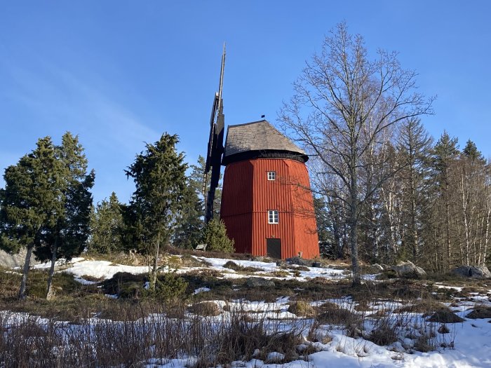 En röd väderkvarn omgiven av träd med rester av snö på marken under en klarblå himmel.