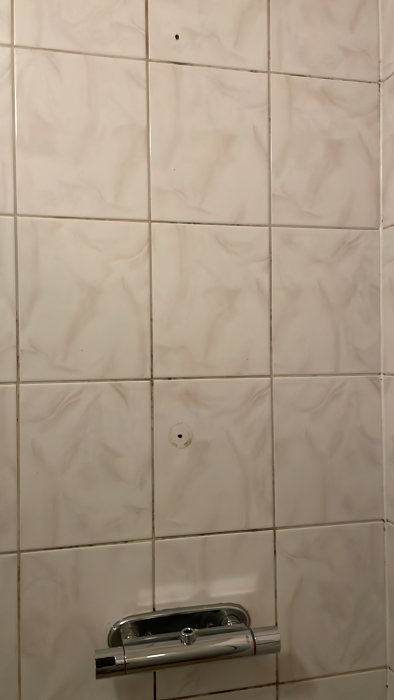 Kakelvägg i badrum med två hål, ett överflödigt, och en kromad duschstång.