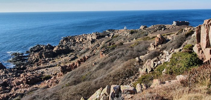 Klippig kustlinje vid Öresund med fyr i bakgrunden och öppet hav.