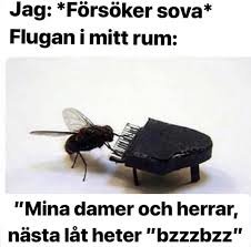 En fluga vid ett mikrofonstativ med humoristisk text om att inte kunna sova på grund av flugans surrande.