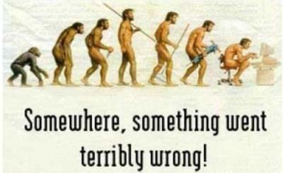 Illustration av människans evolution från apa till man som sitter vid en dator, text "Something went terribly wrong".