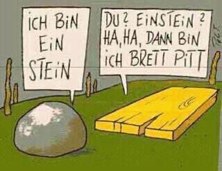 Tecknad bild med talande sten och bräda, med ordlek på namnen Einstein och Brad Pitt.