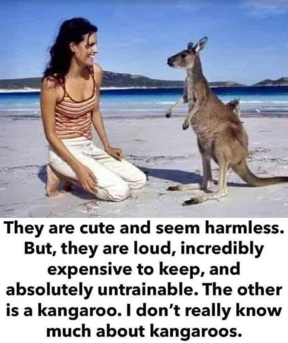 Kvinna knäböjer på stranden bredvid en känguru med humoristisk text om husdjur.