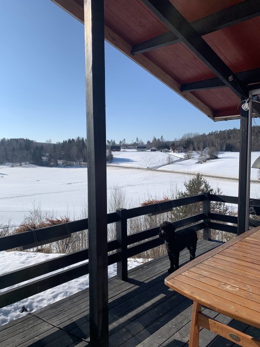 Träaltan med tak och en stolpe i fokus, hund på däcket, snöbedeckt landskap i bakgrunden.