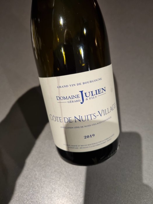 Flaska Bourgognevin från Domaine Julien, Côte de Nuits-Village 2019, mot en enkel bakgrund.