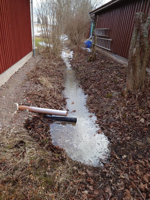 Smältvatten strömmar längs med marken bredvid röda plankbyggnader, rensslang ligger vid pöl.