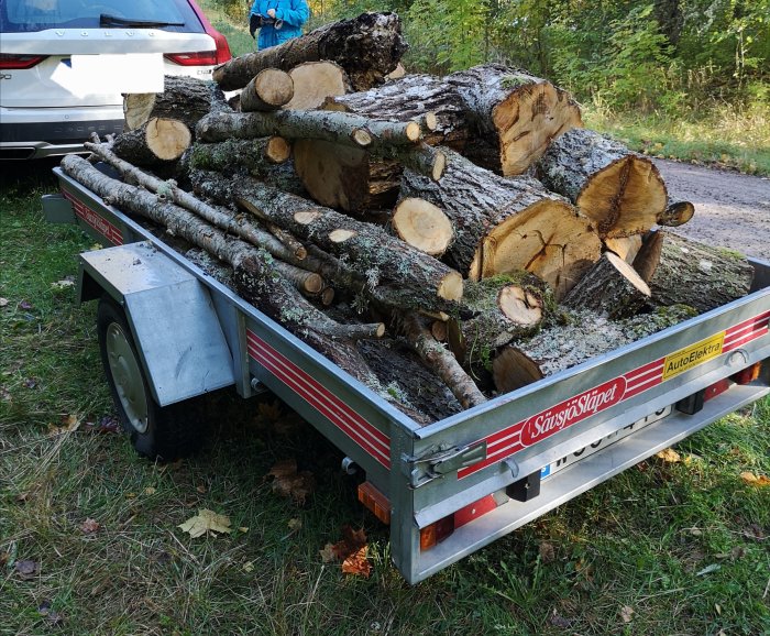 Släpvagn lastad med fällna trädstammar på en skogsstig, del av bil syns.