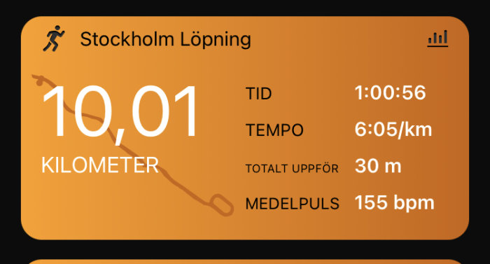 Skärmavbild av löpaktivitet med sträcka, tid, tempo, höjd och puls för Stockholm Löpning.