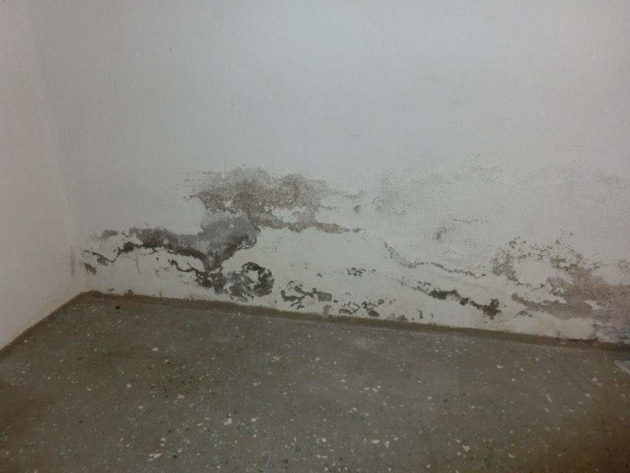 Innervägg med fuktskador och mögel nära golvet, tecken på dålig dränering.