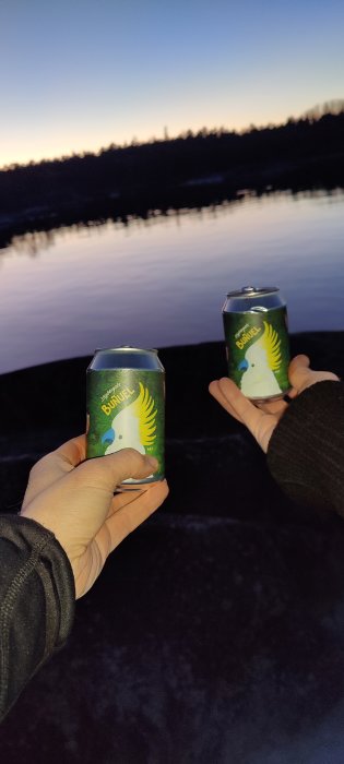 Två händer som håller ölburkar med utsikt över lugnt vatten och skymmande skärgård.