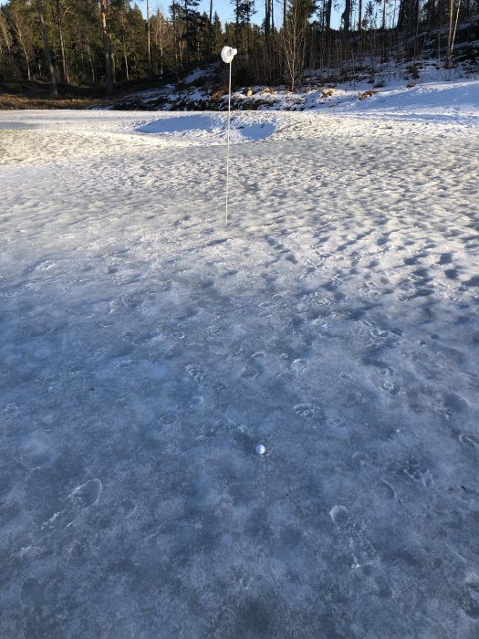 En golfboll nära ett hål markerat med en flagga på en frusen sjö med skogen i bakgrunden.