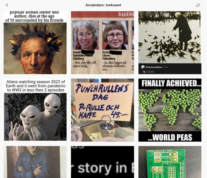 Kollage av humoristiska bilder och memes med ordvitsar och samhällssatir.