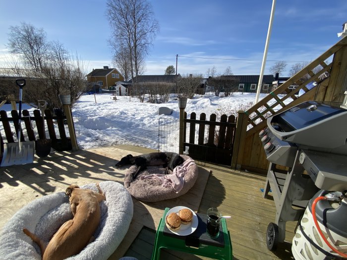 Solig uteplats med snötäckt trädgård, hundar som vilar och en grillad utomhuslunch på terrassen.