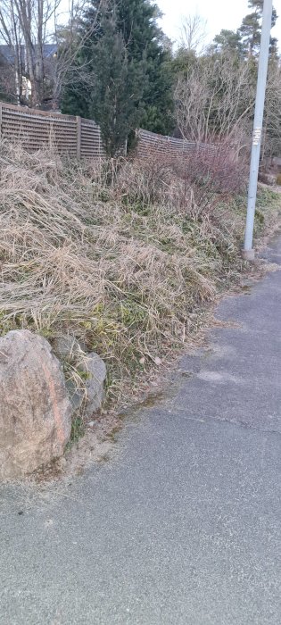 Vildvuxen slänt med överväxt gräs, stenrad och skadad asfalt vid trottoaren, lågt trästaket i bakgrunden.